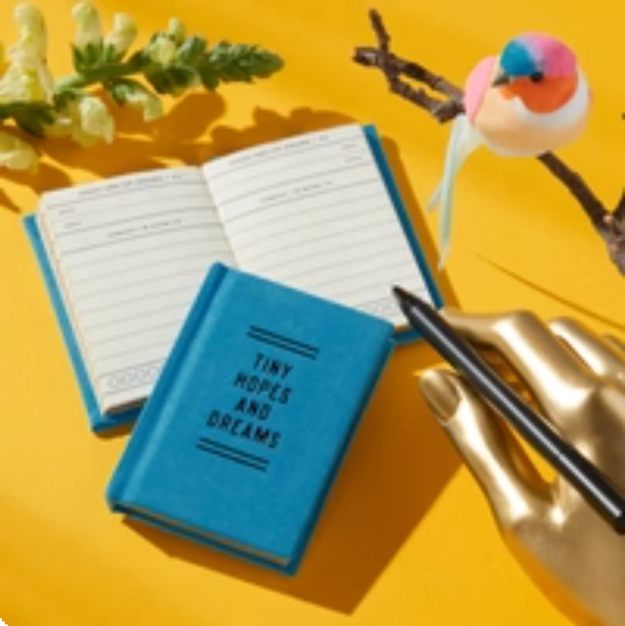 BRASS MONKEY - TINY HOPES AND DREAMS TINY DIARY - Image 3