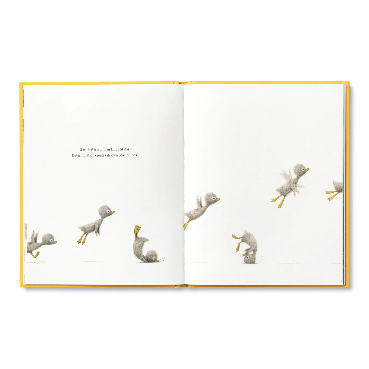 COMPENDIUM - FINDING MUCHNESS - Image 5