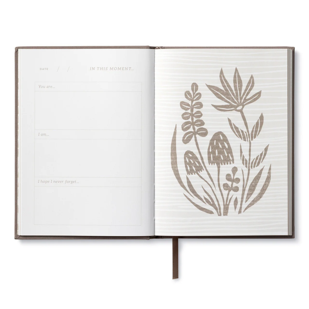 COMPENDIUM - IN THIS MOMENT - Image 3