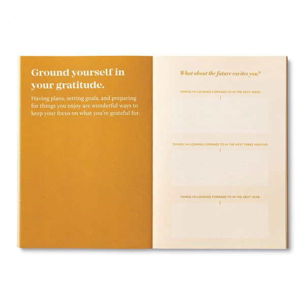 COMPENDIUM - TRUE SERIES | GRATITUDE - Image 4