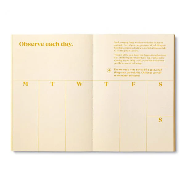 COMPENDIUM - TRUE SERIES | GRATITUDE - Image 5