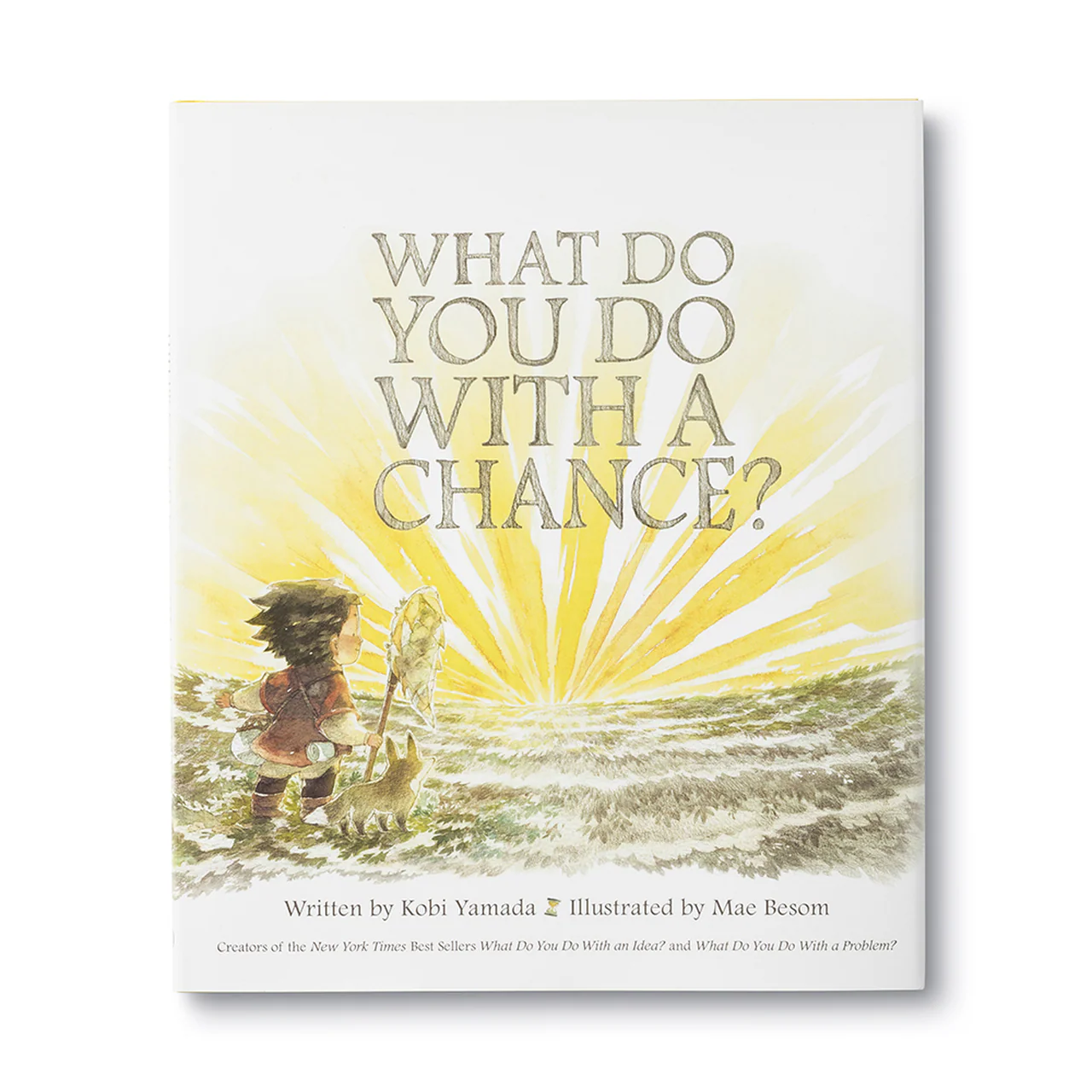 COMPENDIUM - WHAT DO YOU DO WITH A PROBLEM - Image 6