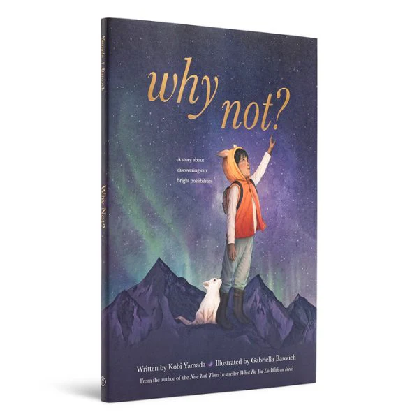 COMPENDIUM - WHY NOT? - Image 2