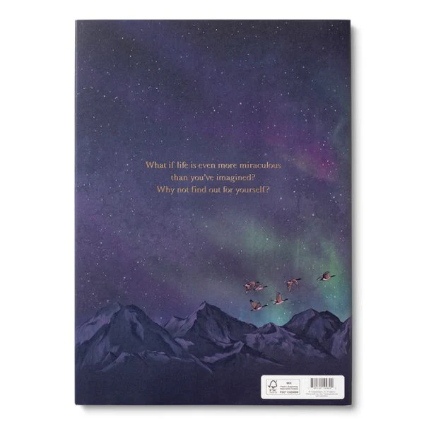 COMPENDIUM - WHY NOT? - Image 3