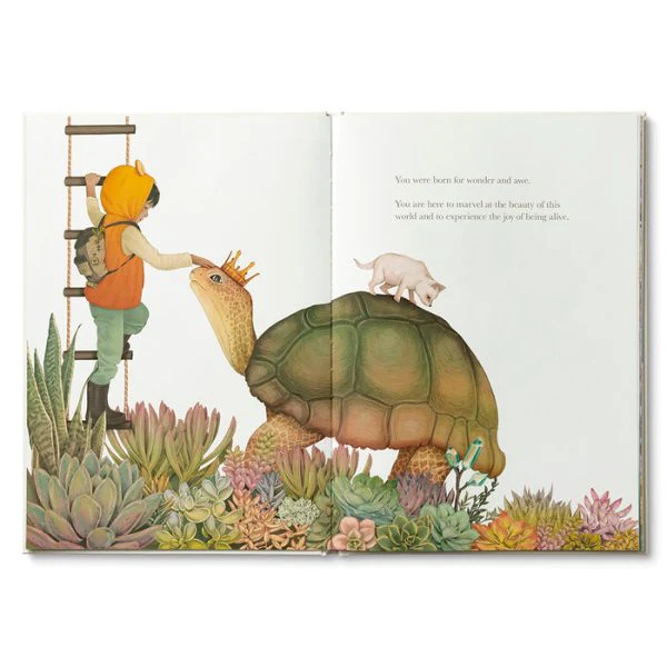 COMPENDIUM - WHY NOT? - Image 5