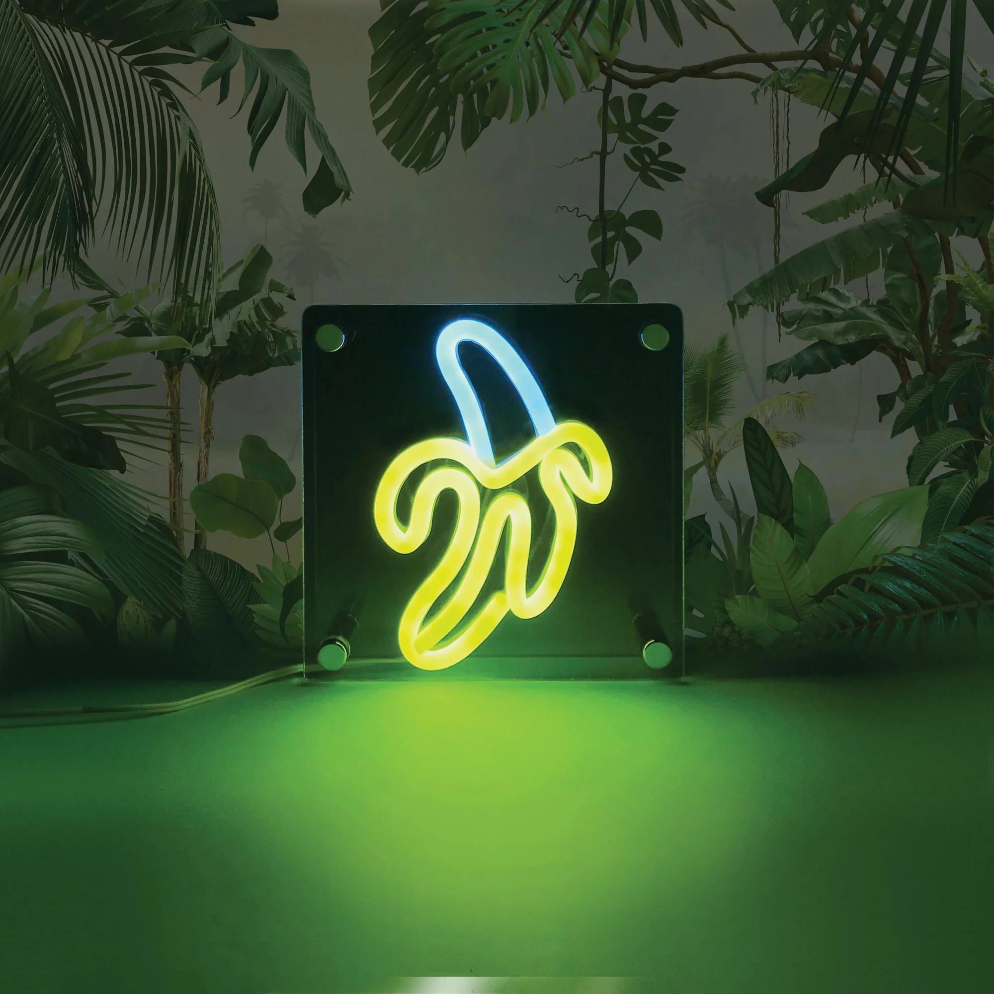 DISCOVERY ZONE - ACRYLIC LIGHT | BANANA - Image 4