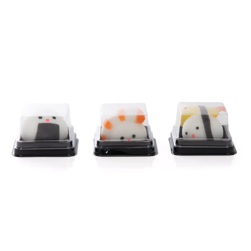 DISCOVERY ZONE - SQUISHY SUSHI - Image 4