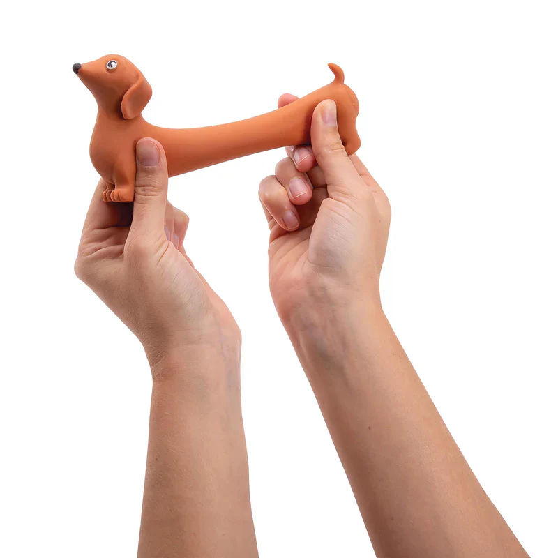 DISCOVERY ZONE - STRETCHY SAUSAGE DOGS | ASSORTED - Image 4