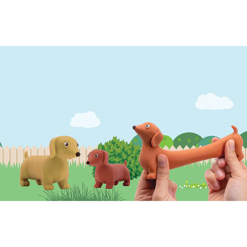 DISCOVERY ZONE - STRETCHY SAUSAGE DOGS | ASSORTED - Image 5