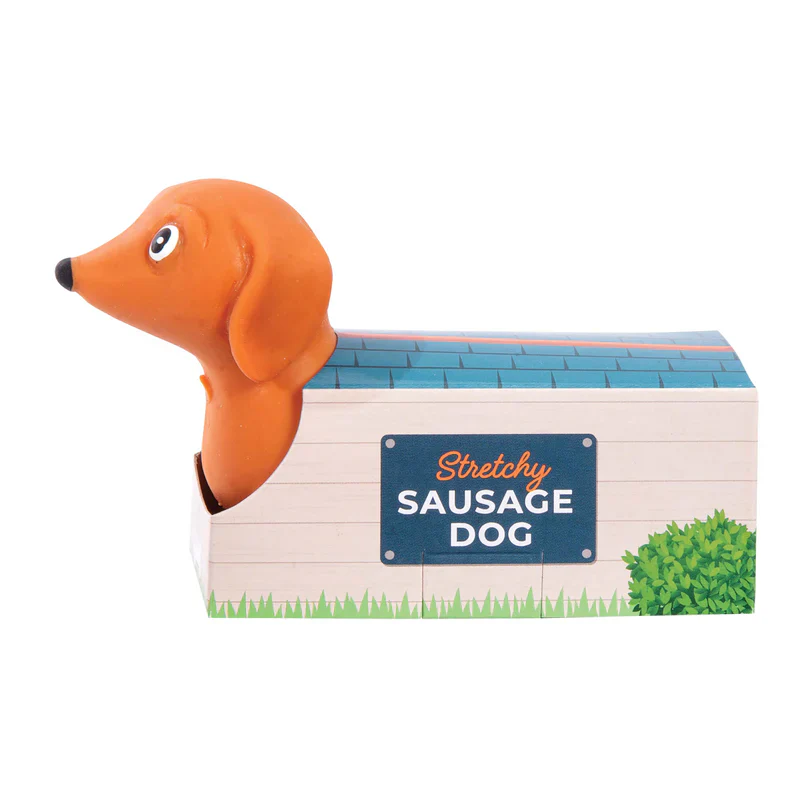DISCOVERY ZONE - STRETCHY SAUSAGE DOGS | ASSORTED - Image 9