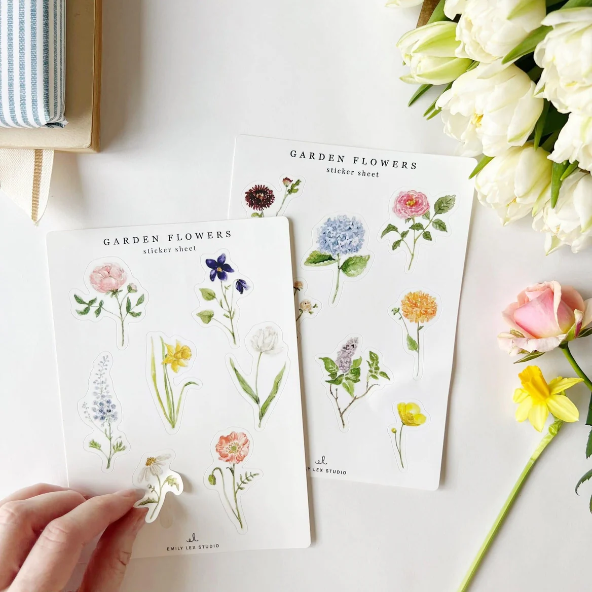 EMILY LEX STUDIO - STICKER SHEETS | GARDEN FLOWERS - Image 4