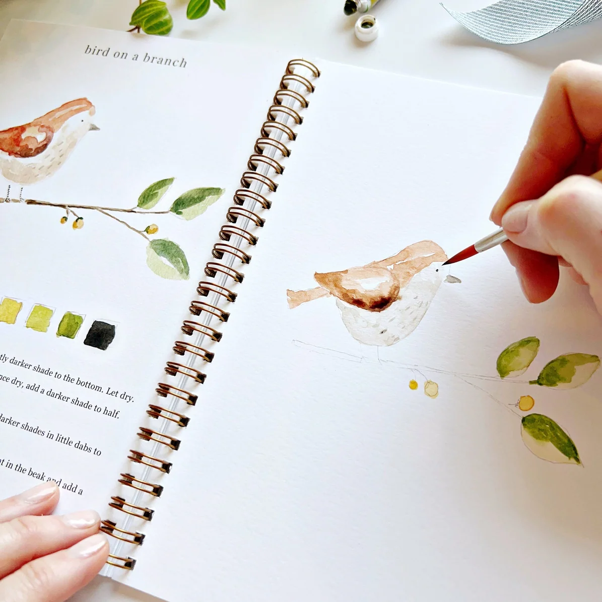 EMILY LEX STUDIO - WATERCOLOUR WORKBOOK | ANIMALS - Image 3
