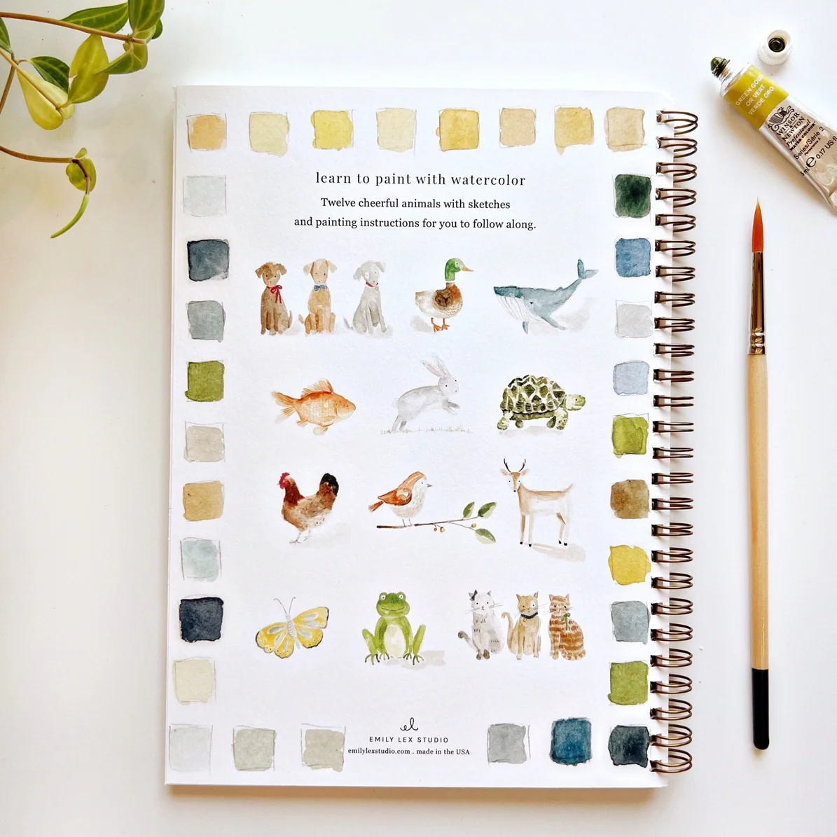 EMILY LEX STUDIO - WATERCOLOUR WORKBOOK | ANIMALS - Image 6