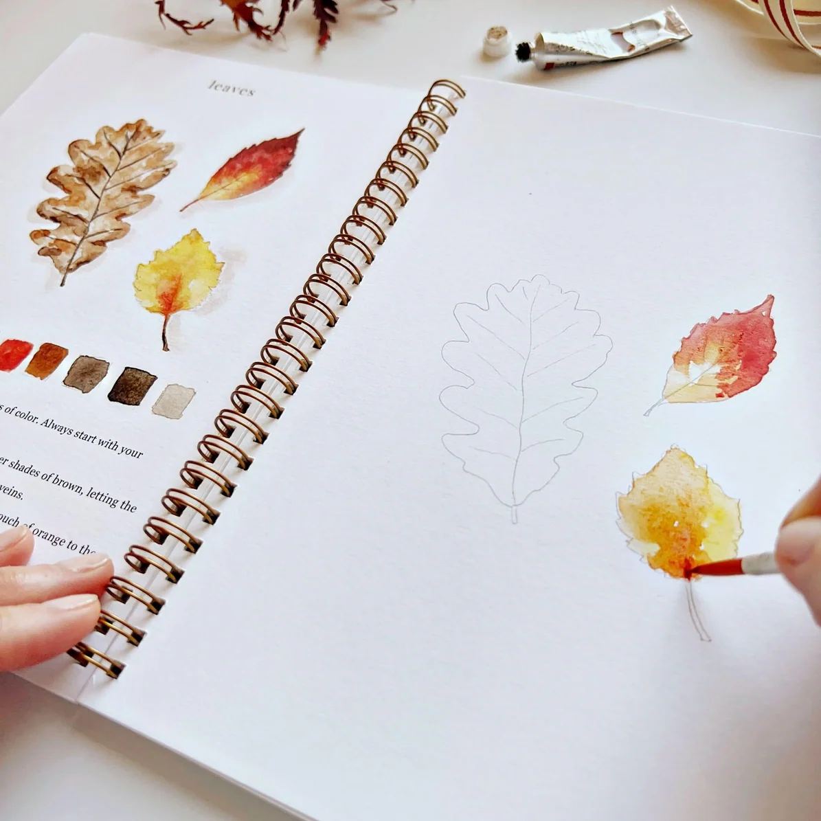 EMILY LEX STUDIO - WATERCOLOUR WORKBOOK | AUTUMN - Image 5