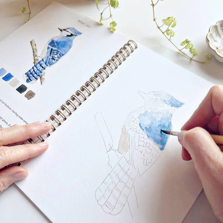 EMILY LEX STUDIO - WATERCOLOUR WORKBOOK | BIRDS - Image 3