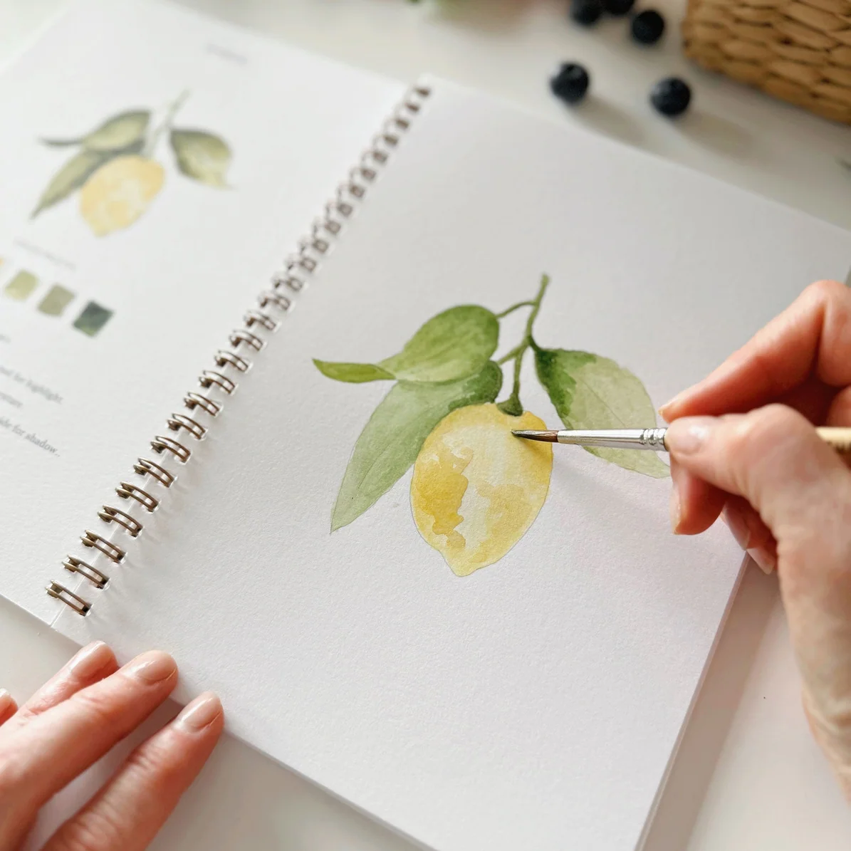EMILY LEX STUDIO - WATERCOLOUR WORKBOOK | FRUIT - Image 3