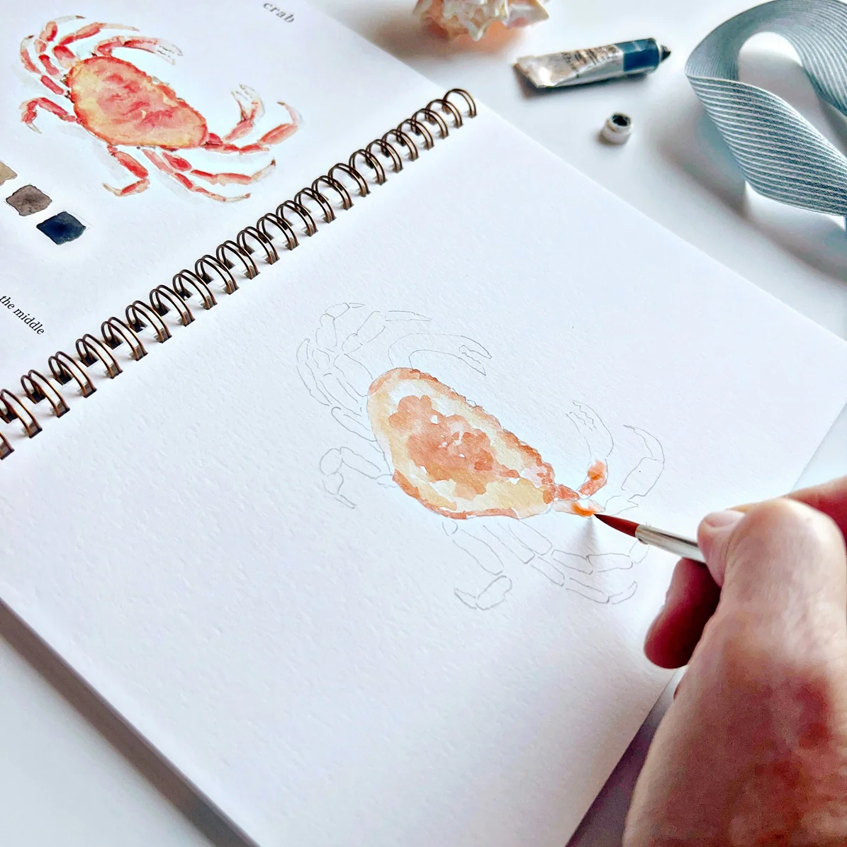 EMILY LEX STUDIO - WATERCOLOUR WORKBOOK | SEASIDE - Image 2