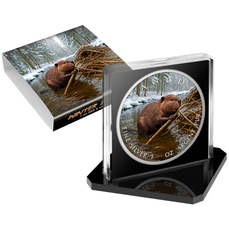 O&G - WINTER BEAVER 2025 CANADA MAPLE LEAF 1OZ SILVER COIN - Image 2