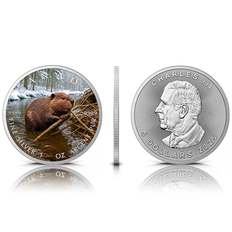 O&G - WINTER BEAVER 2025 CANADA MAPLE LEAF 1OZ SILVER COIN - Image 5