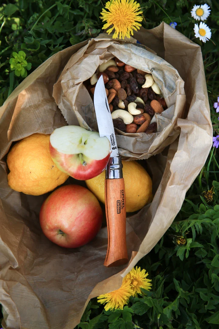 OPINEL - TRADITIONAL CLASSIC N°08 CARBON STEEL + SHEATH - Image 3