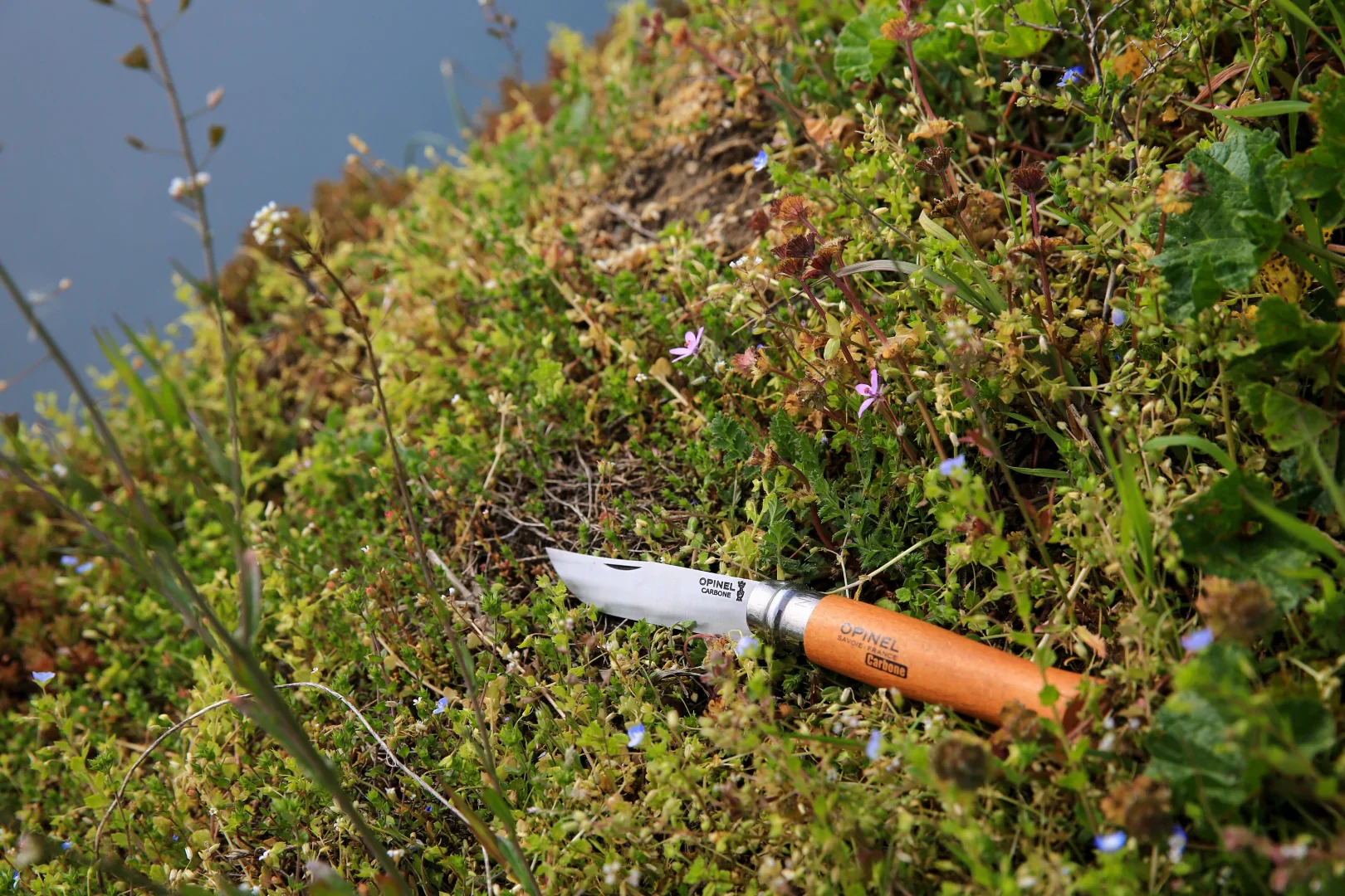 OPINEL - TRADITIONAL CLASSIC N°08 CARBON STEEL + SHEATH - Image 4