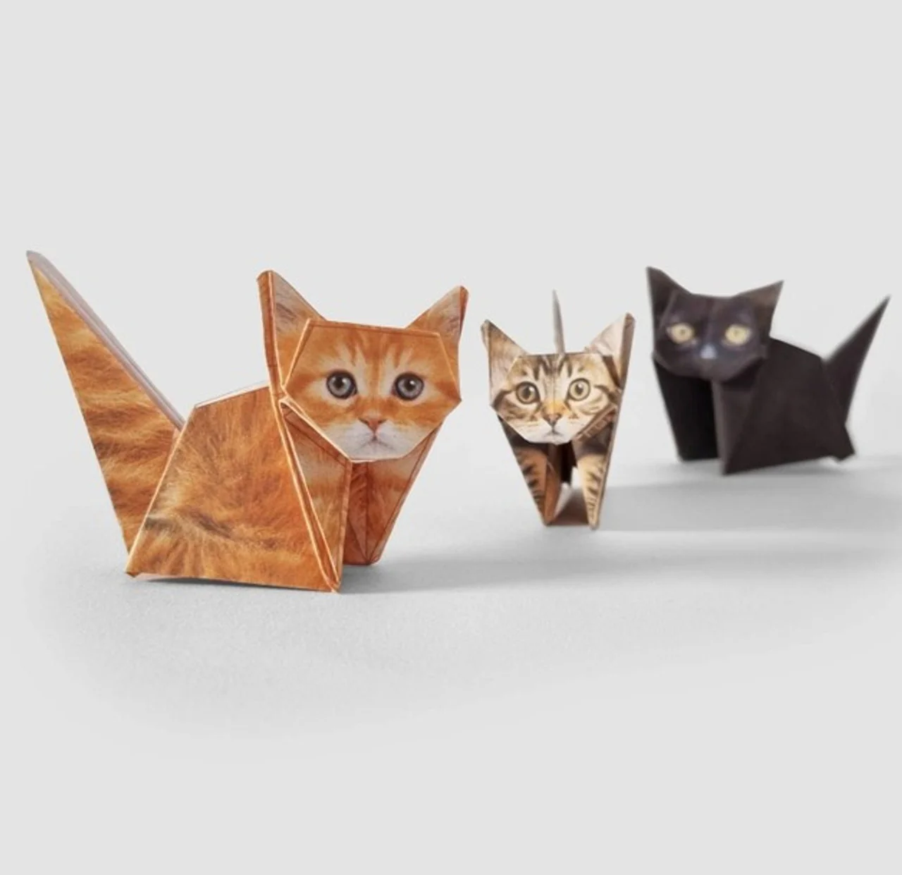 PIKKII - PAPER CATS | ORIGAMI CAT KIT - Image 3