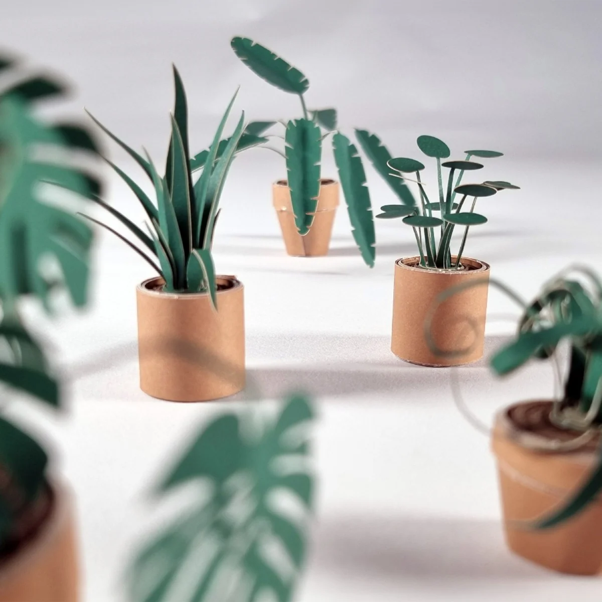 PIKKII - PAPER PLANTS SET OF 5 CRAFT KIT (ORIGAMI) - Image 3