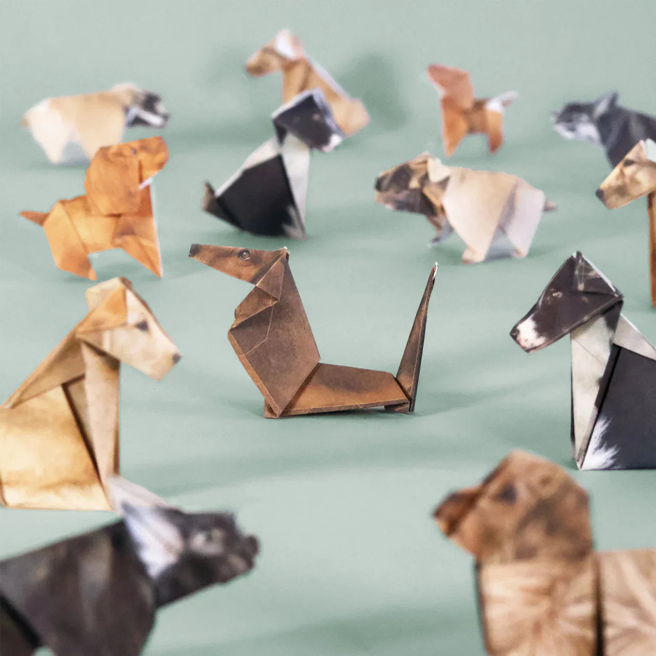 PIKKII - PAPER PUPS | ORIGAMI DOG KIT - Image 4