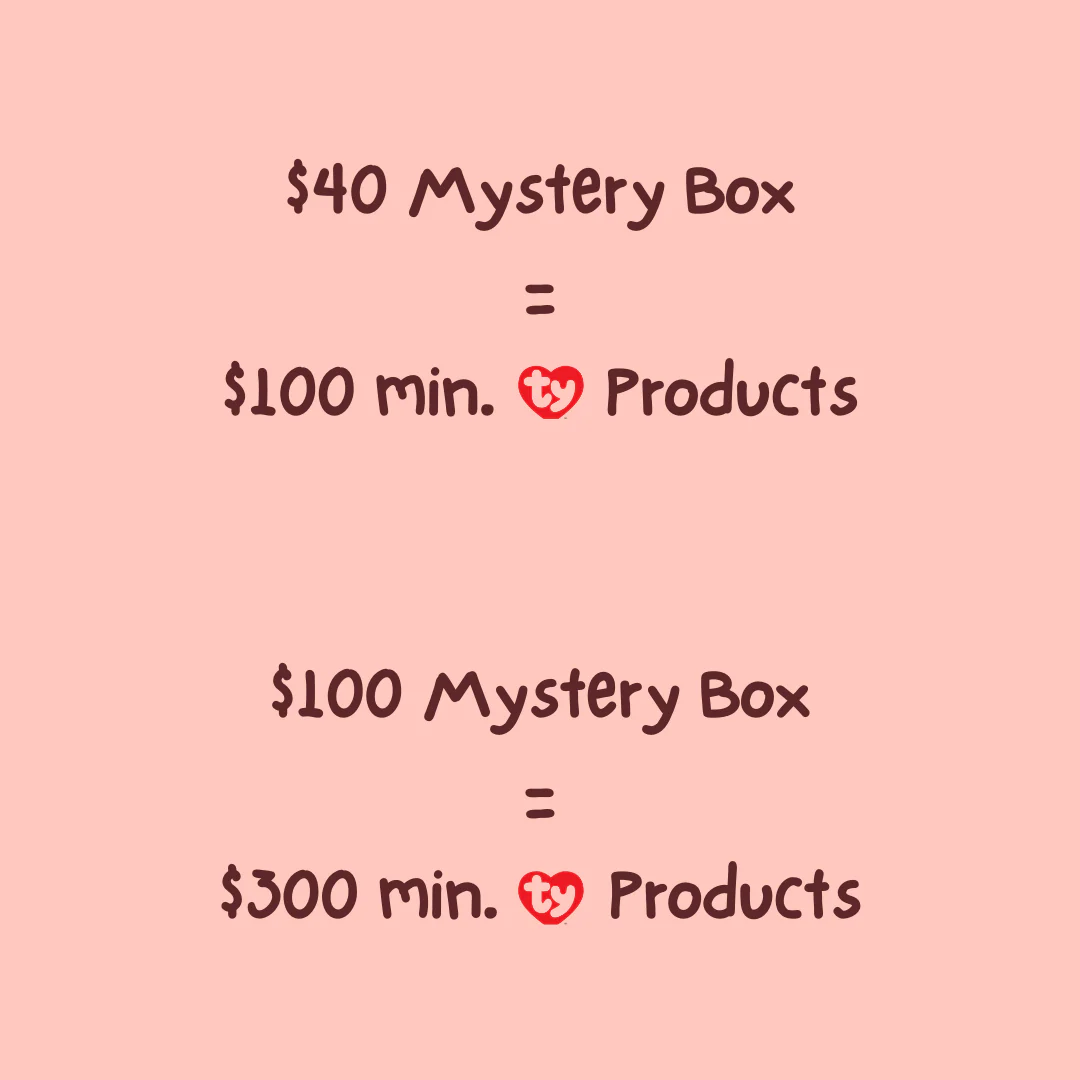 TY Mystery Box | $100 - Image 2