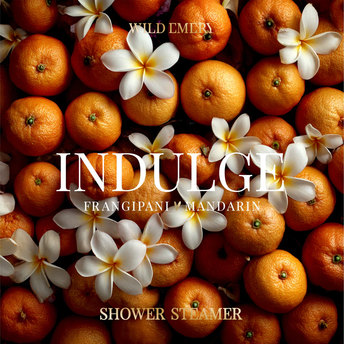WILD EMERY - SHOWER STEAMER | INDULDGE - Image 2