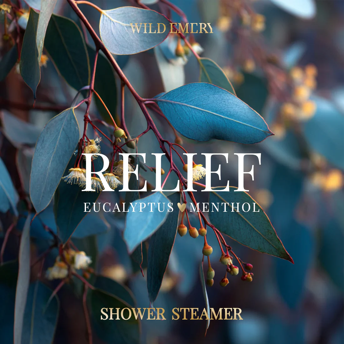 WILD EMERY - SHOWER STEAMER | RELIEF - Image 2