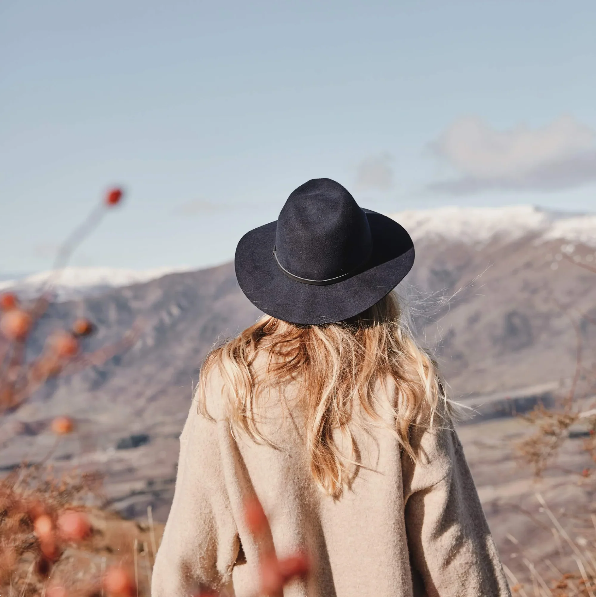 WILL + BEAR - ANDERSON - Image 15